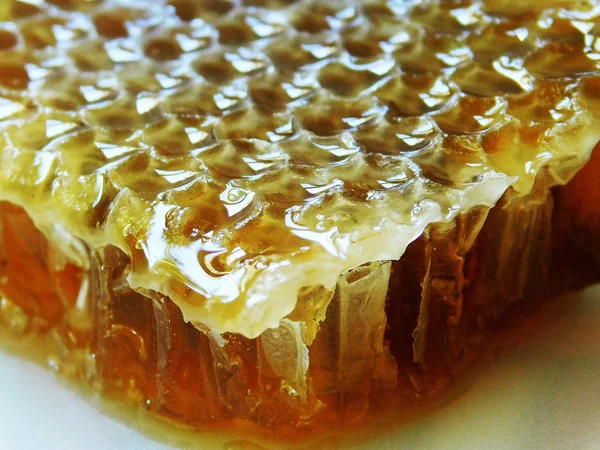 Honeycomb Piece Macro — Stock Photo, Image