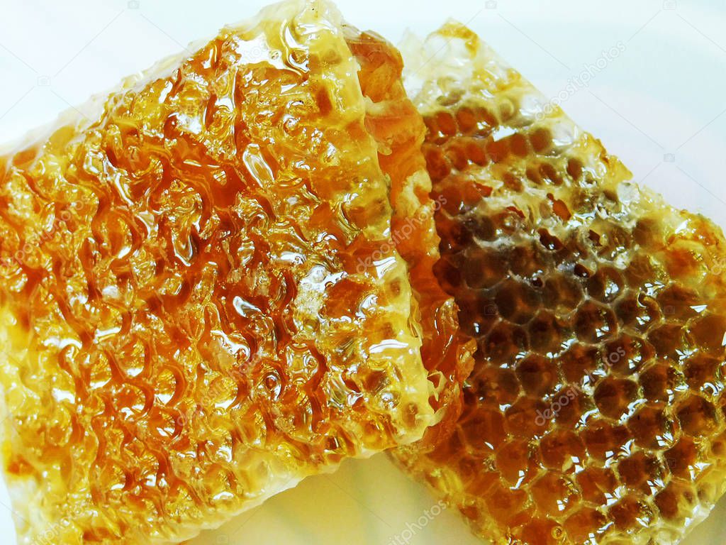  Honeycomb pieces close up