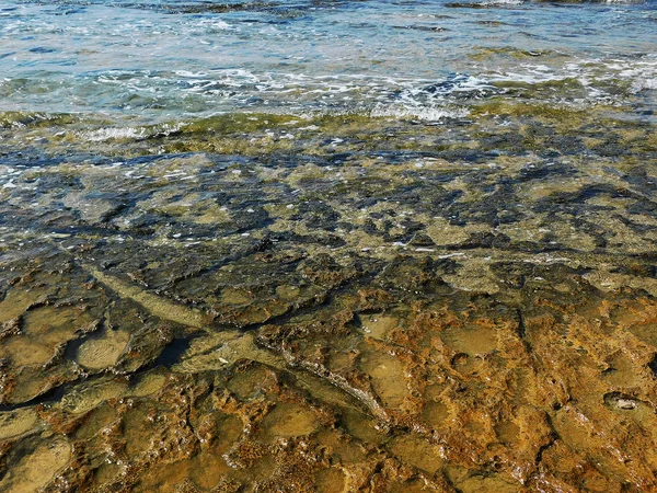 Pietra Fondo Mare Sfondo — Foto Stock