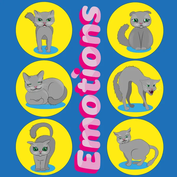 Emotions of cats. Irritation, fear, joy, surprise sadness bad mood. Vector illustration