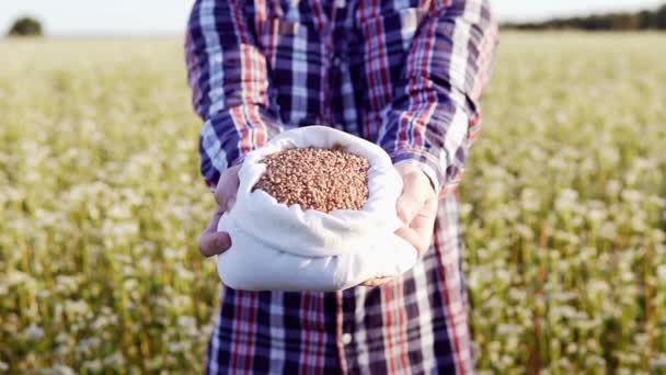 Farmer Polu Gryki Trzyma Rękach Worek Gryki — Wideo stockowe