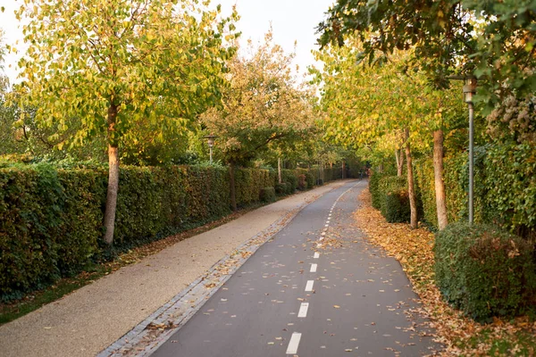 Autumn Bike Lane landscape 1