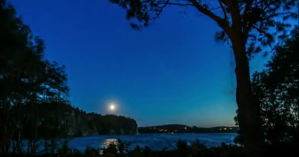 Céu Noturno Sobre Lago Floresta Nuvens Estrelas Lapso Tempo — Vídeo de Stock