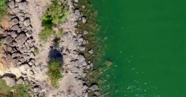 Güzel kuş dron bakışı kayalık sahilinin Kineret Celile Denizi yeşil su ile 