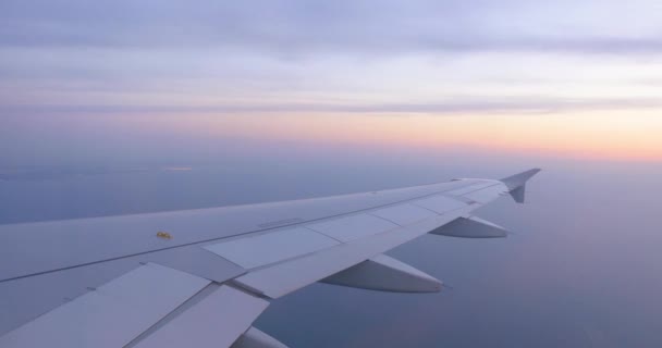 Flugzeug Landet Aus Dem Fenster — Stockvideo