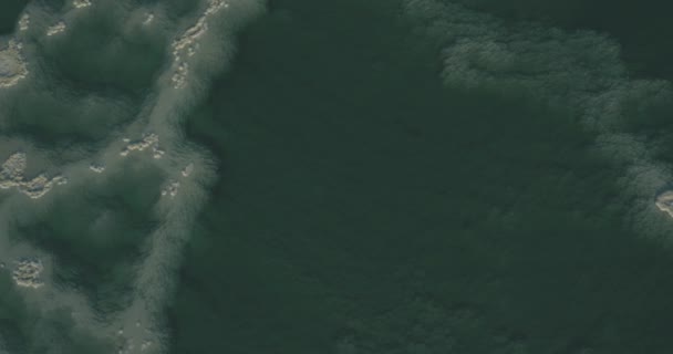 Νεκρά Θάλασσα Κατακόρυφη Βολή Από Ένα Drone Πάνω Από Άλατα — Αρχείο Βίντεο