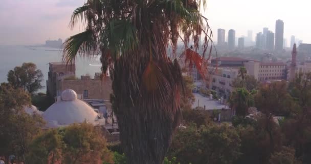 Rivelare Tel Aviv Città Drone — Video Stock