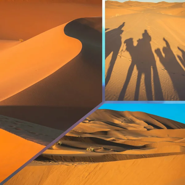 Collage Sand Dunes Merzuga Morocco Africa — Stock Photo, Image