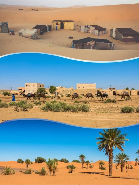 Collage Dune Sabbia Merzuga Marocco Africa — Foto Stock