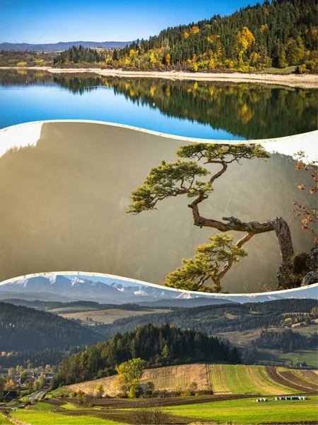 Collage Van Pieniny Prachtig Uitzicht Bergen Polen — Stockfoto