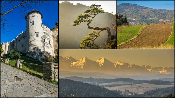 Collage Von Pieniny Schöne Ausblicke Auf Die Berge Polen — Stockfoto