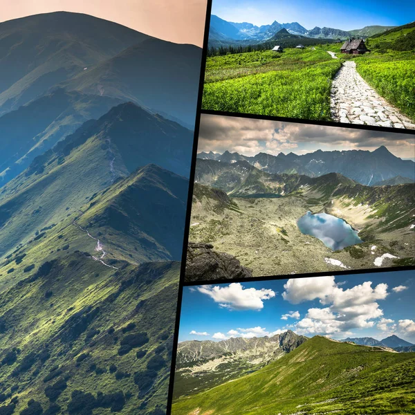 Zakopane Dağları Milli Parkı Içinde Polonia Kolaj — Stok fotoğraf