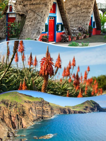 Collage Turist Bilder Madeira Island Portugal — Stockfoto