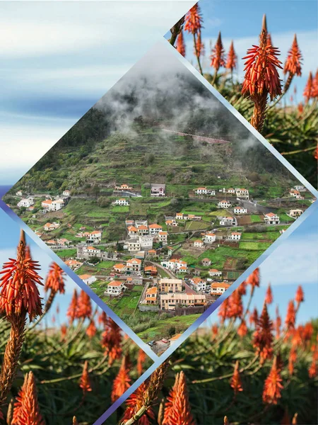 Collage Van Toeristische Foto Van Het Eiland Madeira Portugal — Stockfoto