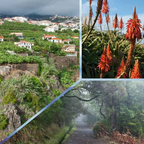 Koláž Fotografií Turistických Portugalský Ostrov Madeira — Stock fotografie