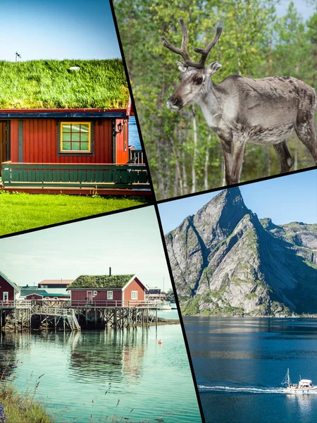 Collage Tourist Photos Norway — Stock Photo, Image