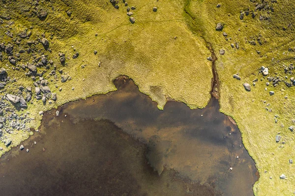 Aerial view of pond and green nature — Stock Photo, Image