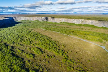 Kanyon Asbyrgi jokulsargljufur Milli Parkı, İzlanda