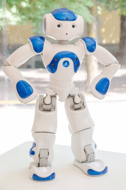 Nao robotWired Next Fest 2019 Milano, İtalya'da