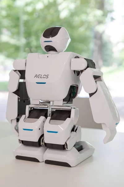 イタリア・ミラノで開催されるワイヤード・ネクスト・フェスト2019でロボット — ストック写真