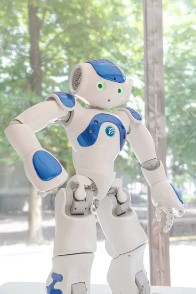 Nao robot at Wired Next Fest 2019 in Milan, Italy — Stock Photo, Image