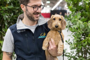 İtalya, Milano 'daki Evcil Hayvanlar' da güzel bir köpek.