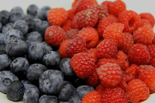 Raspberries Blueberries Quebec — Stock Photo, Image