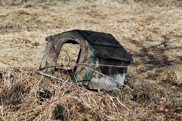 放棄されたホールド犬小屋 — ストック写真