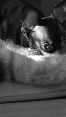                           Güzel güneşli kış manzarası     