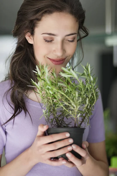 Smiling Woman Smelling Potted Rosemary Plant — Stock Photo, Image