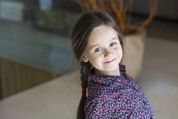 Portrait Little Smiling Girl Braids — Stock Photo, Image