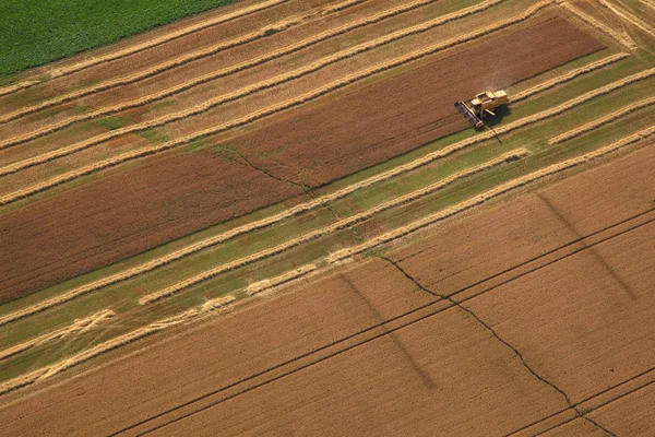 France Northern France Pas Calais Harvest — Stock Photo, Image