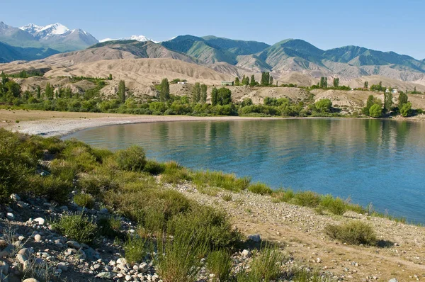 Střední Asie Kyrgyzstán Provincie Issyk Kul Ysyk Jezero Issyk Kul — Stock fotografie