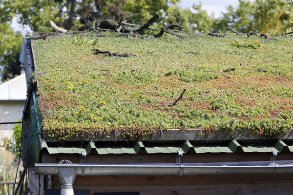 Франция Париж Винсент Bois Fennes Ferme Paris Органическое Сельское Хозяйство — стоковое фото