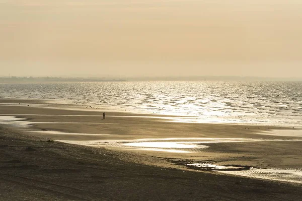 França Normandia Uma Pessoa Caminhando Praia Pôr Sol — Fotografia de Stock