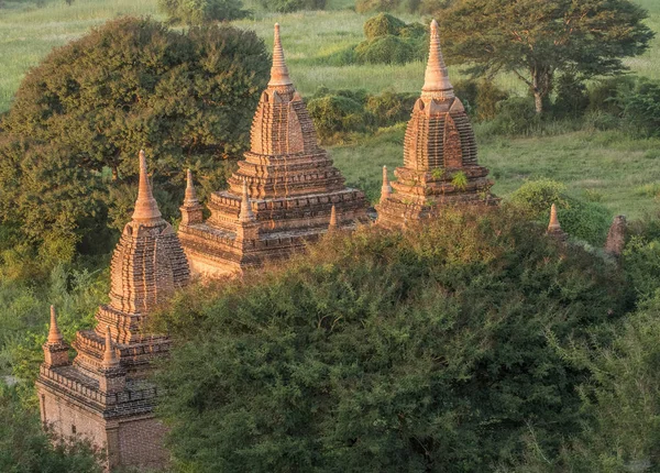 Myanmar Région Mandalay Site Archéologique Bagan Entre Les Arbres Verts — Photo