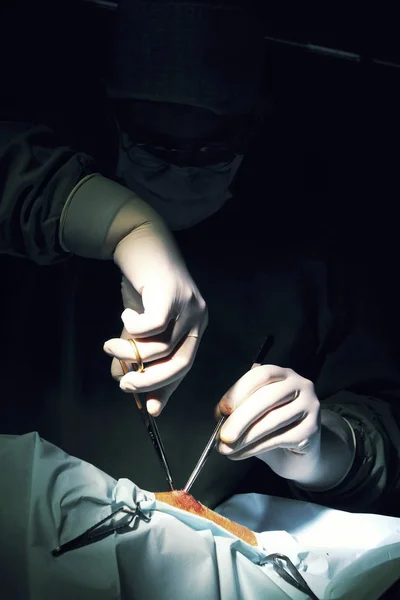 Perancis Klinik Dokter Hewan Chirurgy — Stok Foto