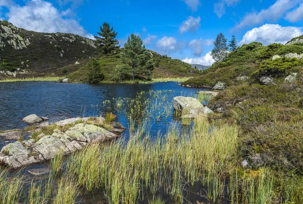 France Pyrenees Ariegeoises Regional Nature Park Bassies Lake — Stock Photo, Image