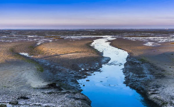 França Nova Aquitânia Baía Arcachon Teste Buch Pântano Sal Bordes — Fotografia de Stock