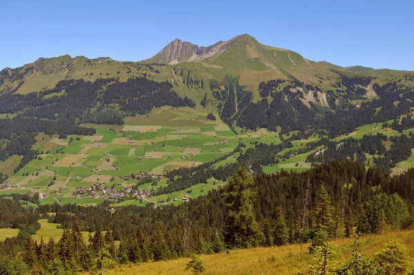 Švýcarsko Bernský Kanton Hight Simmental Region Pastviny Wispile Pěší Turistika — Stock fotografie