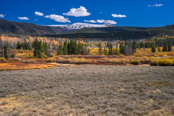 Usa Wyoming Autumn Landscape Aspens Pines — 스톡 사진