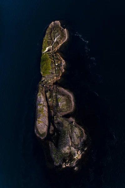 Europa Norwegia Nordland Bodo Saltstraumen — Zdjęcie stockowe