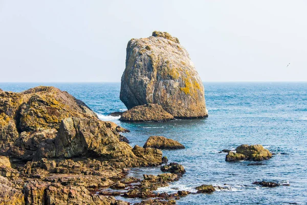 Shiraiwa Bölgesi Michinoku Sahil Yolu Boyunca Tohoku Honshu Japonya — Stok fotoğraf