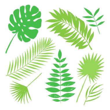 Yaz tropikal yeşil palmiye ağacı öğeleri bırakır. Vektör grunge tasarım kartlarının, web, arka planlar ve doğal ürün.