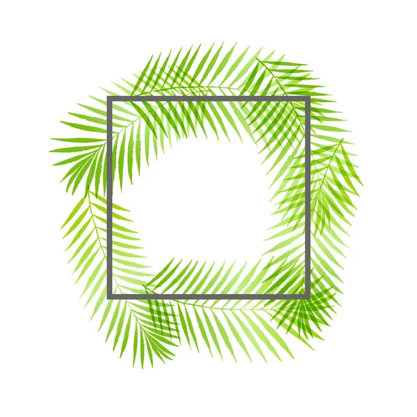 夏季热带棕榈树叶子边缘 框架背景 矢量格格设计的卡 白色上的天然热带棕榈树 — 图库矢量图片