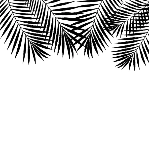 Verano Palmera Tropical Hojas Fondo Diseño Grunge Vectorial Para Tarjetas — Vector de stock