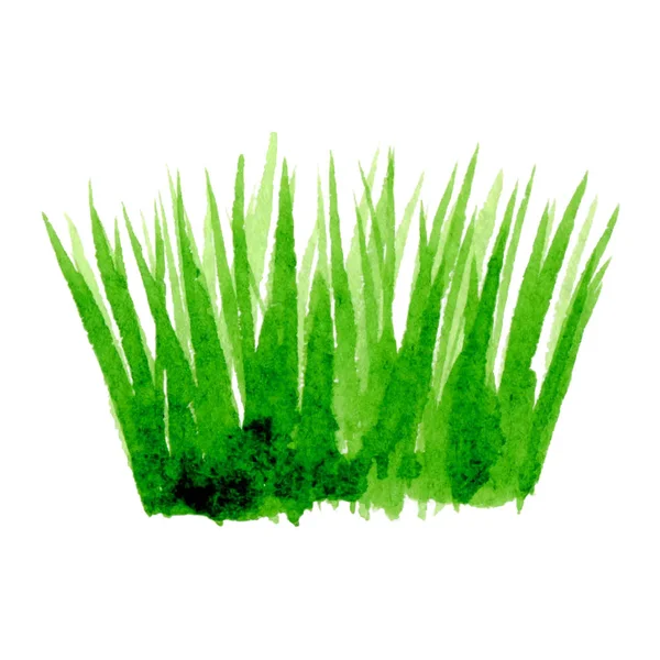Vektor Gröna Akvarell Naturliga Ekologiska Gräs Vit Bakgrund Hand Dras — Stock vektor