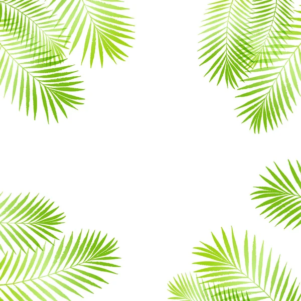 Summer Tropical Palm Tree Leaves Border Frame Background Vector Grunge —  Vetores de Stock