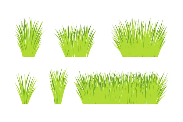 Herbe Verte Vectorielle Naturelle Biologique Bio Écolabel Forme Sur Fond — Image vectorielle