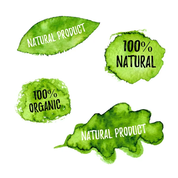 100 Doğal Organik Doğal Ürün Ekoloji Doğa Tasarımı Vektör Yeşil — Stok Vektör